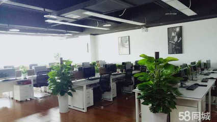 四川沃通 专业计算机信息技术咨询服务的领航者